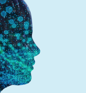 AI in education law