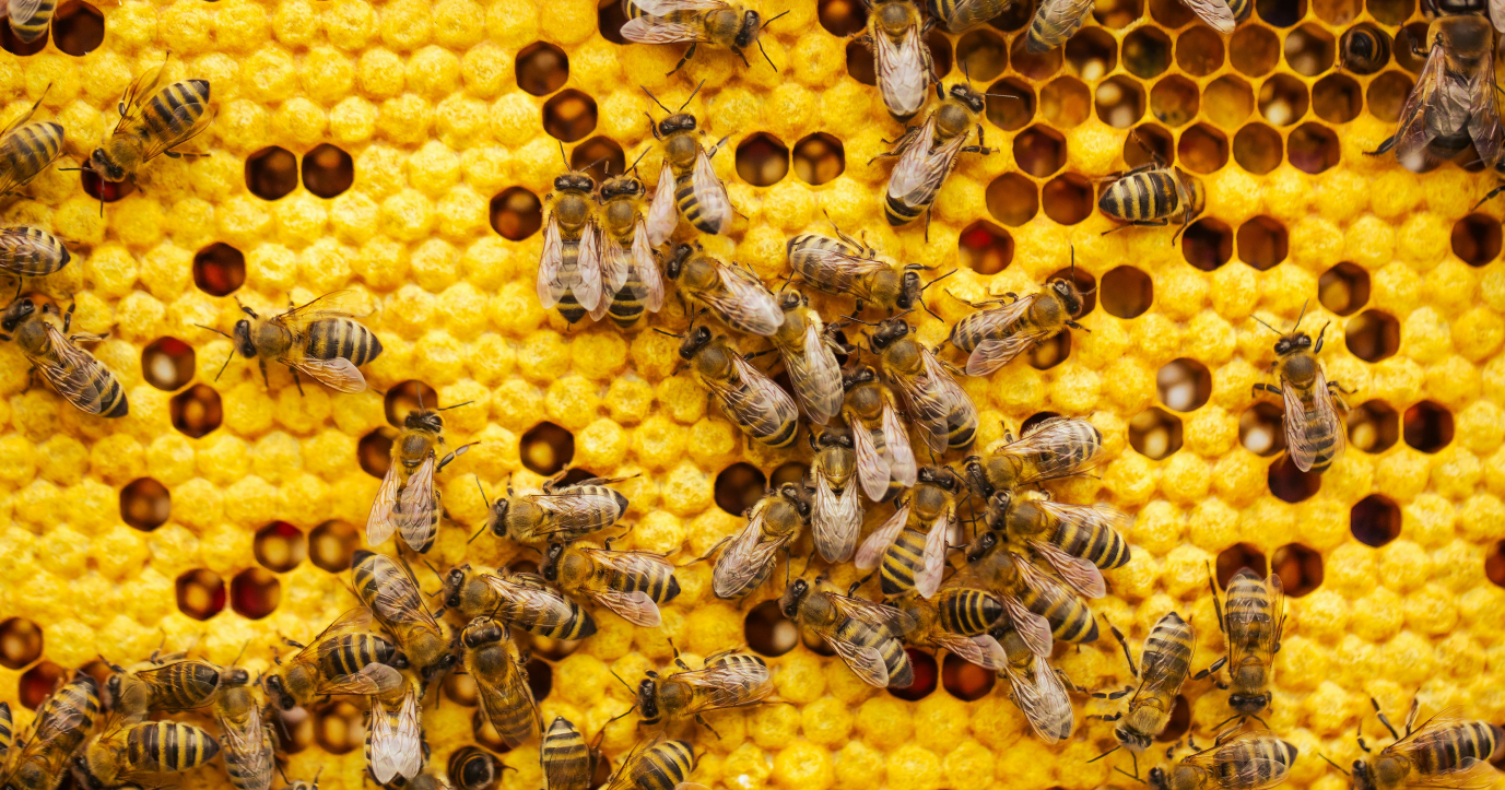 Busy bees banner
