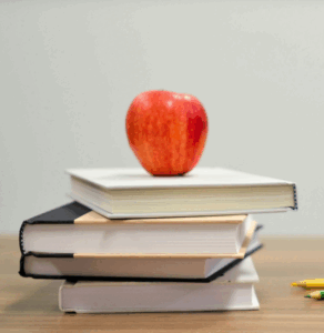 Education newsletter banner website