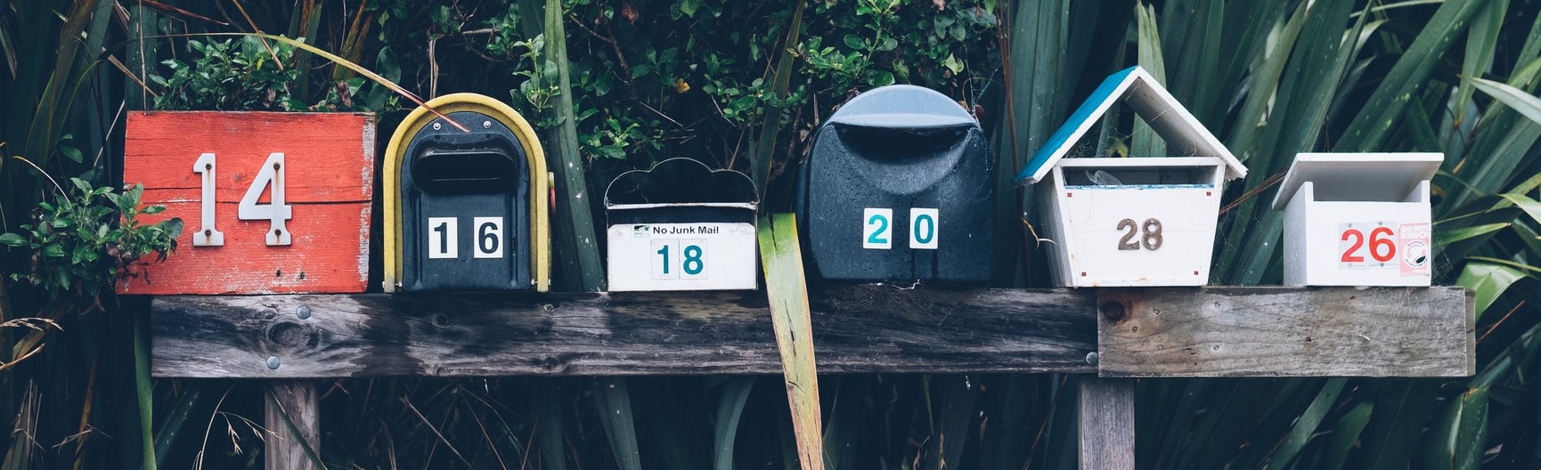 Matthew Curtis edits the Employment and Discrimination team's December newsletter 1 Letterboxes