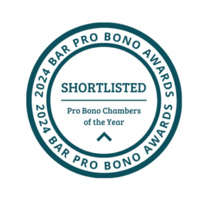 Pro Bono e1713342464201