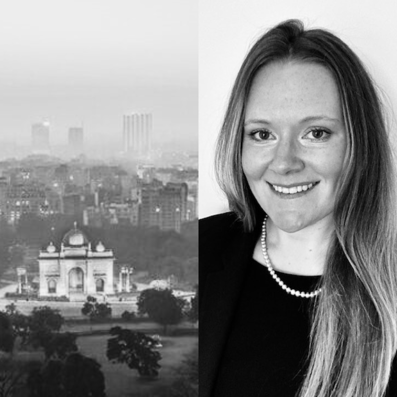 alice horn website pic